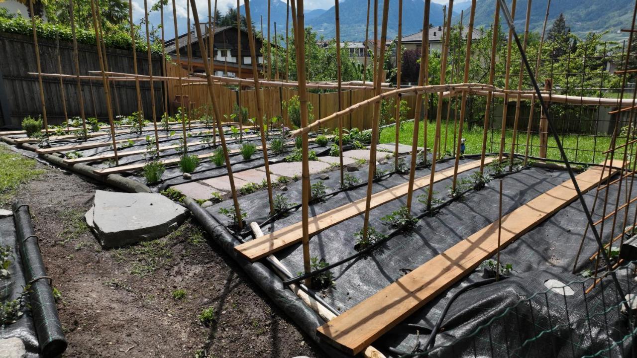 Nora S Home 2 - Panoramic Terrace & Bio Garden Merano Exterior photo