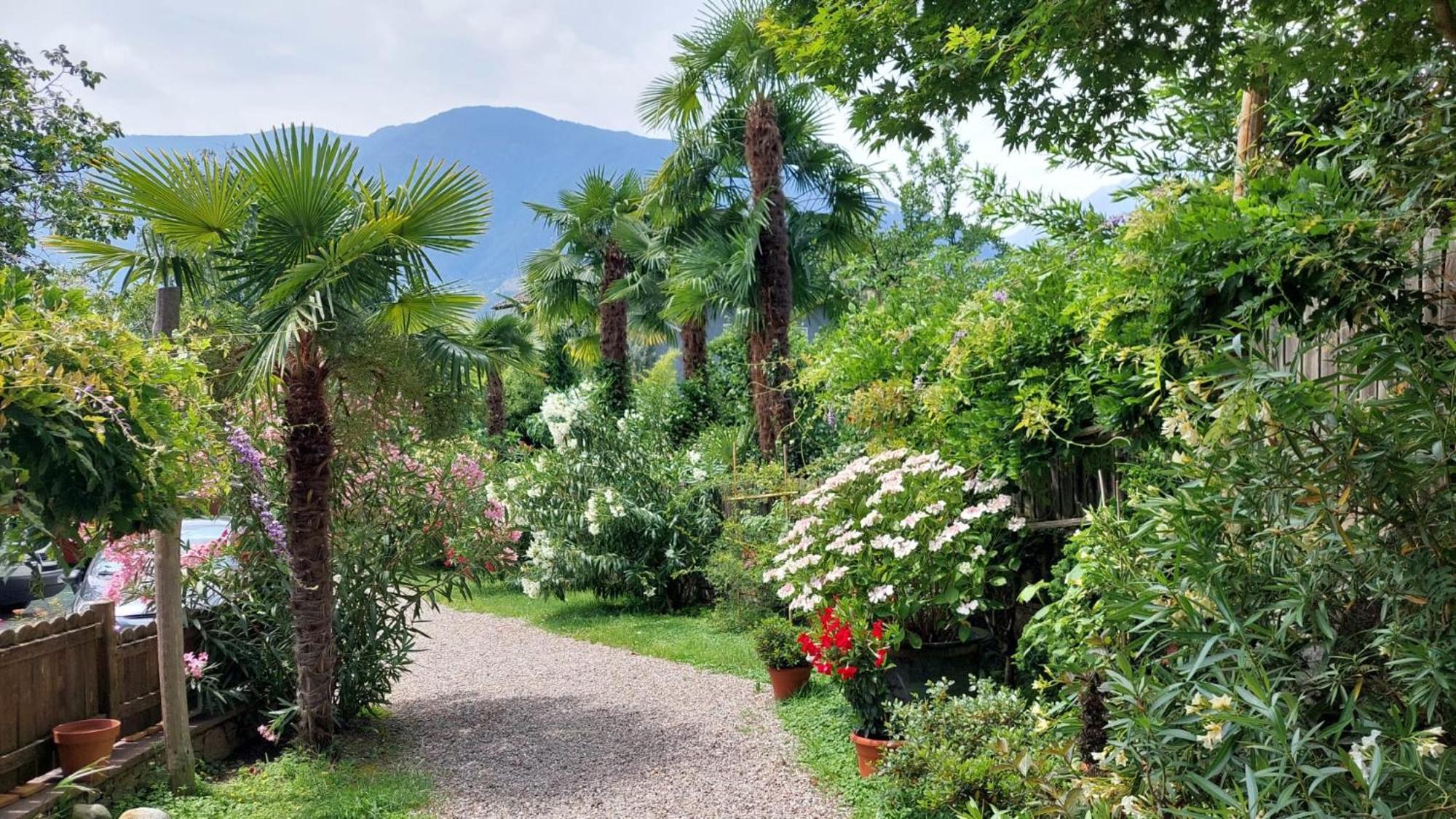 Nora S Home 2 - Panoramic Terrace & Bio Garden Merano Exterior photo